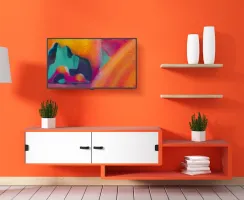 TV lifestyle